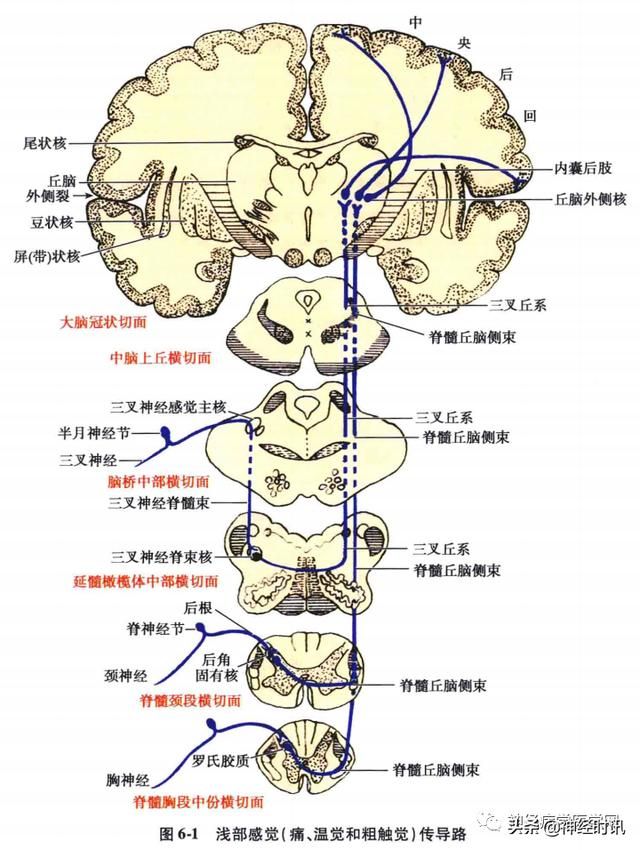 头温在哪里(情头在哪里找)