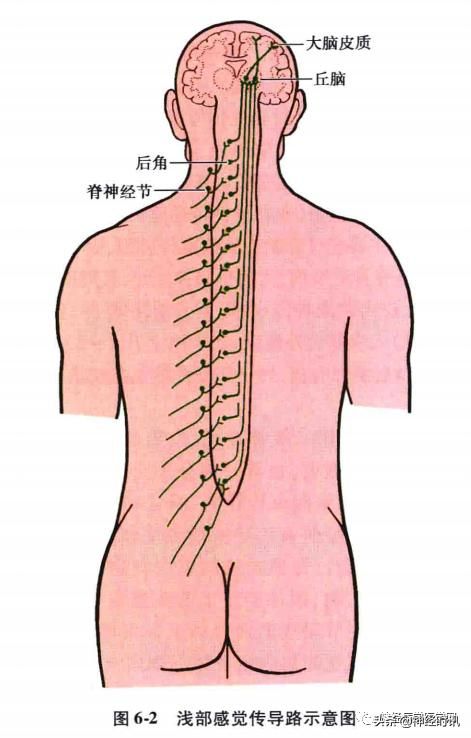 头温在哪里(情头在哪里找)