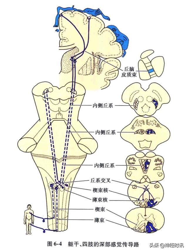 头温在哪里(情头在哪里找)