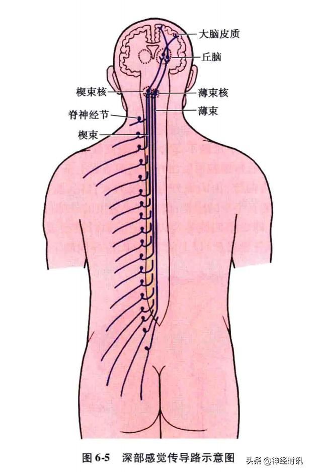 头温在哪里(情头在哪里找)