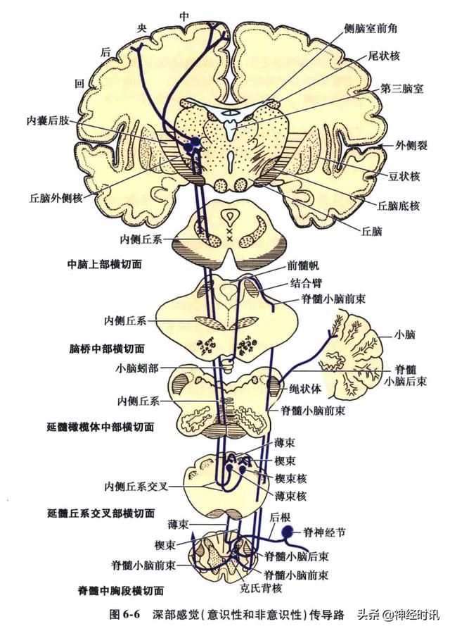 头温在哪里(情头在哪里找)