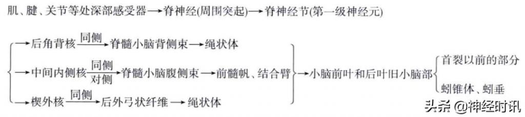 头温在哪里(情头在哪里找)