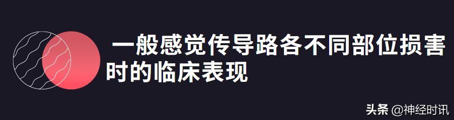 头温在哪里(情头在哪里找)