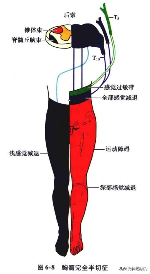 头温在哪里(情头在哪里找)