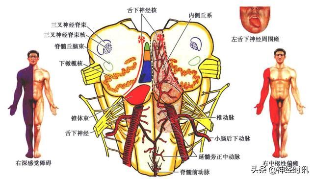 头温在哪里(情头在哪里找)