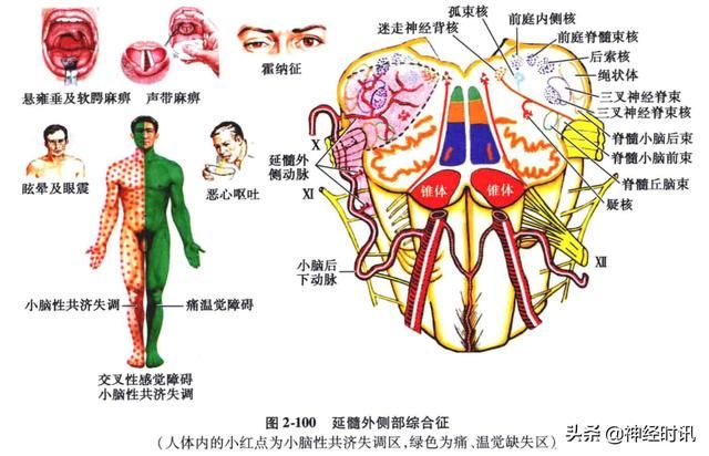 头温在哪里(情头在哪里找)