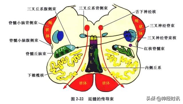 头温在哪里(情头在哪里找)