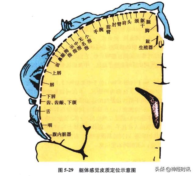 头温在哪里(情头在哪里找)