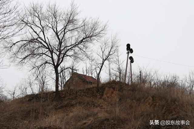 湖西村在哪里(呼吸存在人体感应器)