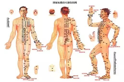 包含中腔穴在哪的词条