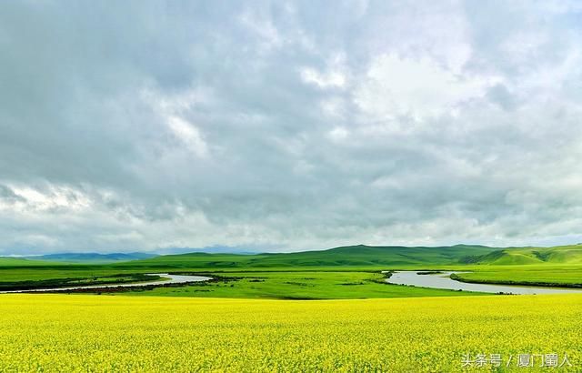 海拉尔油菜花在哪里(海拉尔油菜花景区)