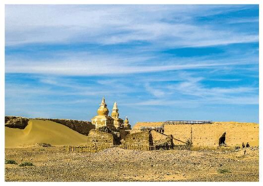 不屈草在哪(卡卡罗特不屈草在哪)