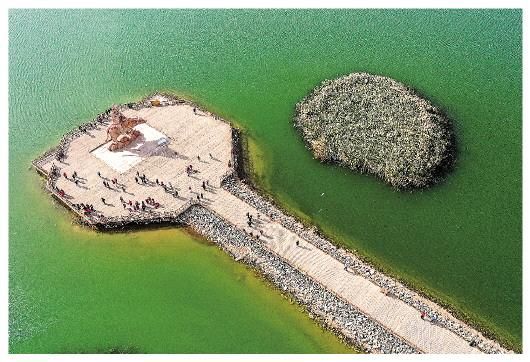 不屈草在哪(卡卡罗特不屈草在哪)