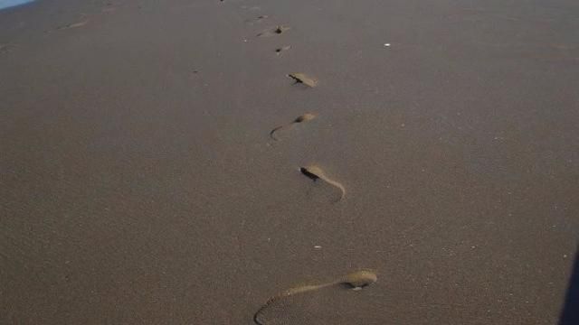 潜水湾在哪里(浅水湾在香港哪个区)