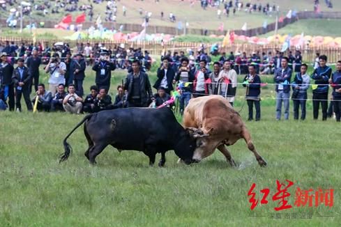 火把节在哪里举行(云南火把节在哪里举行)