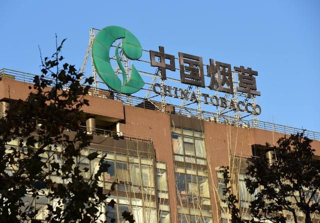 中国烟草招聘2021社会招聘(中国烟草招聘2021公告)