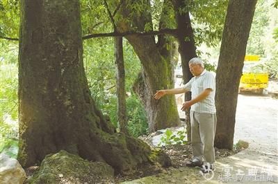 包含云南长寿村在哪里的词条