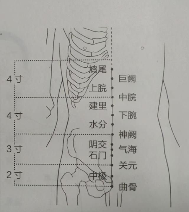 咽喉穴在哪(咽喉穴位图)