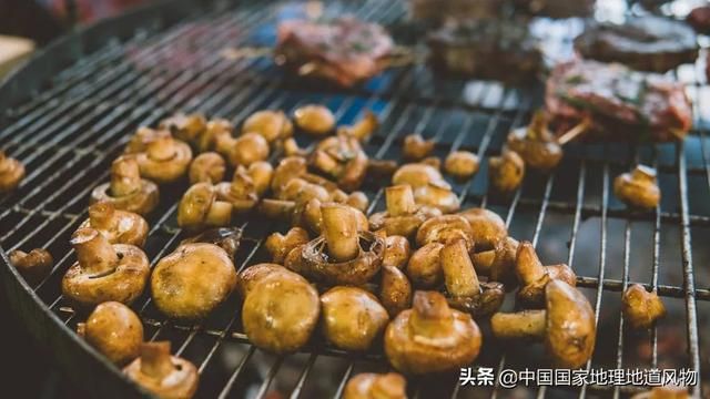 蘑菇在哪长的(铇戣弴浠斿摢閲屽)