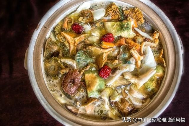 蘑菇在哪长的(铇戣弴浠斿摢閲屽)