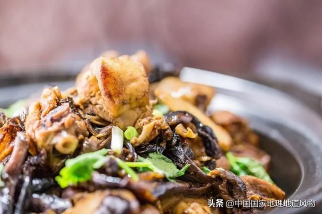 蘑菇在哪长的(铇戣弴浠斿摢閲屽)