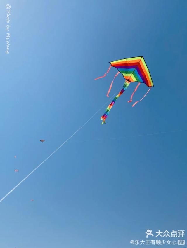 天津集美在哪(天津集美雍阳售楼处电话)