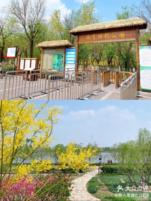 天津集美在哪(天津集美雍阳售楼处电话)
