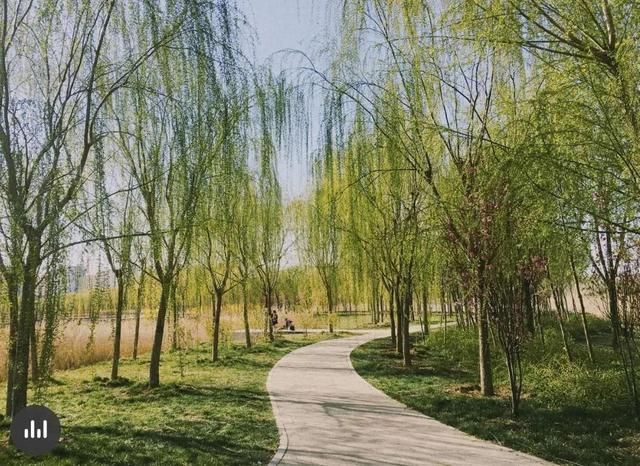 天津集美在哪(天津集美雍阳售楼处电话)