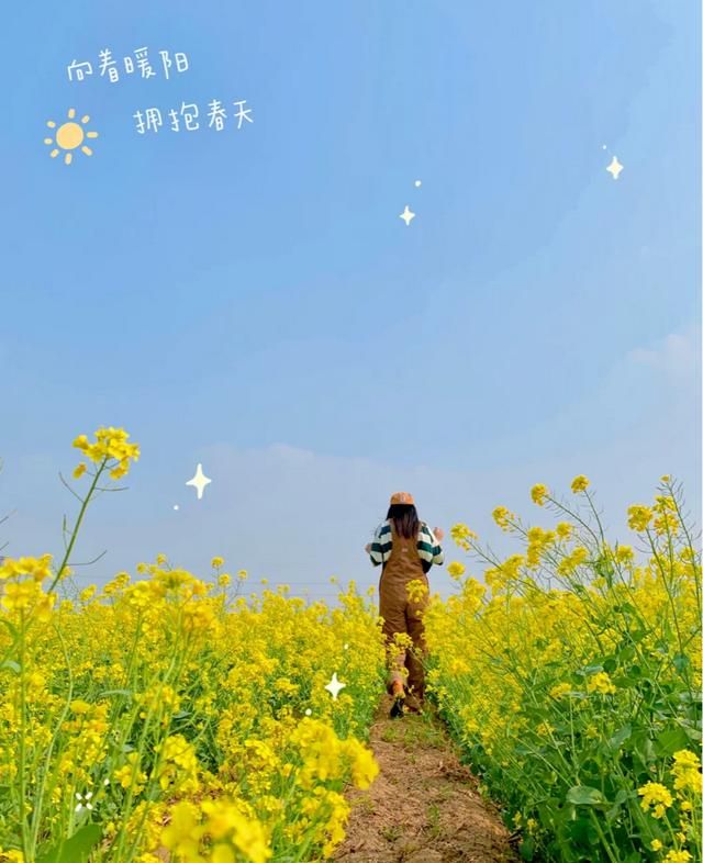 天津集美在哪(天津集美雍阳售楼处电话)