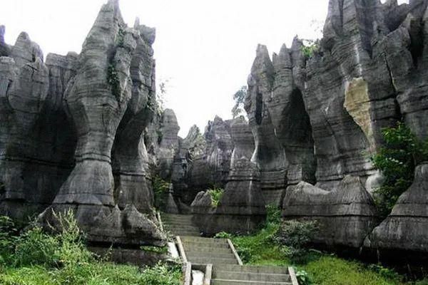 天津集美在哪(天津集美雍阳售楼处电话)