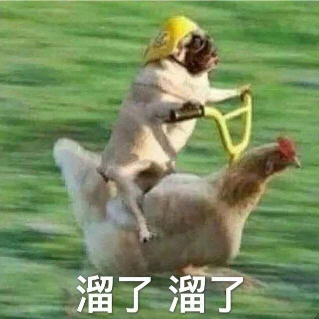 天津集美在哪(天津集美雍阳售楼处电话)