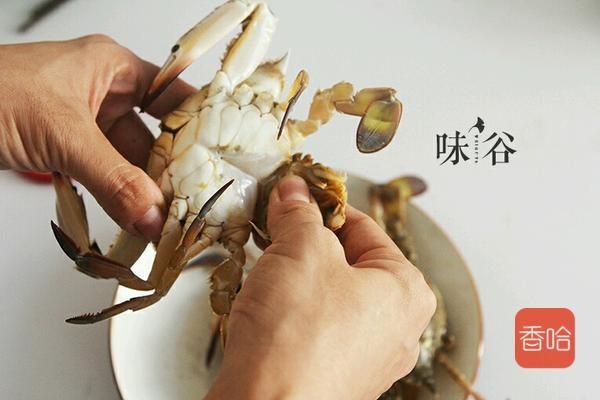 蟹的肺在哪里(国蟹市场在哪里)