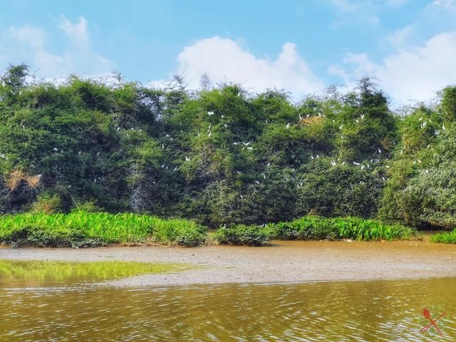 在哪蒲(在哪儿)