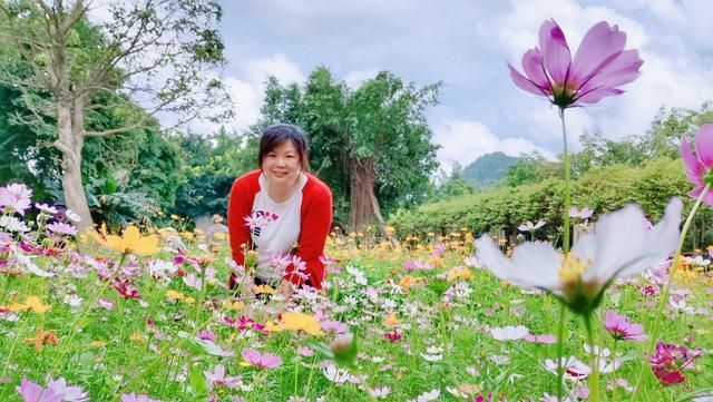 在哪蒲(在哪儿)