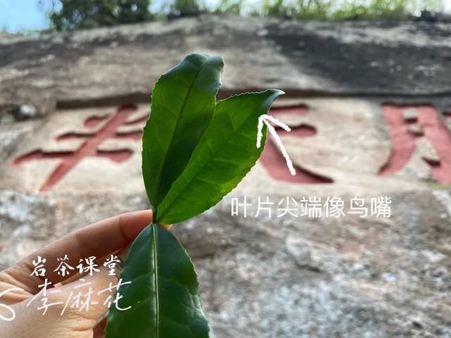 锡罐在哪买(西关在哪里)