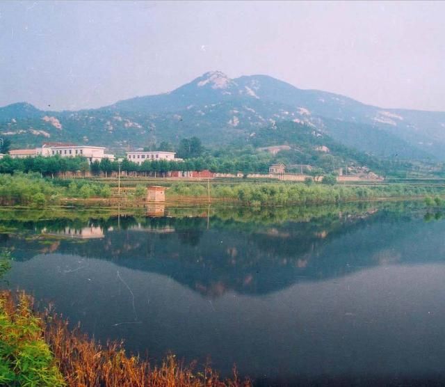 南山南在哪儿(南山南在线)