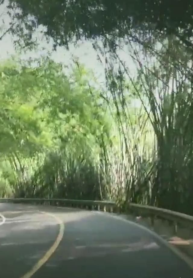 蜀南竹海在哪个县(蜀南竹海在哪里)
