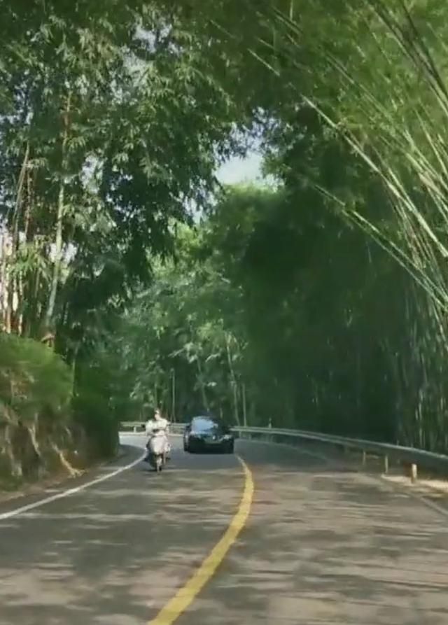 蜀南竹海在哪个县(蜀南竹海在哪里)