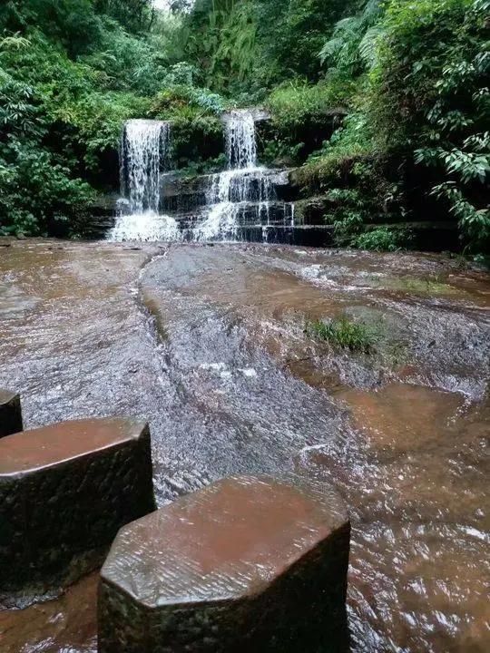 蜀南竹海在哪个县(蜀南竹海在哪里)