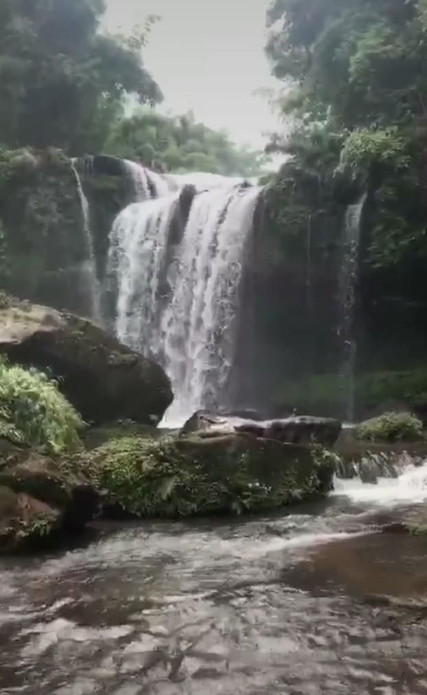 蜀南竹海在哪个县(蜀南竹海在哪里)