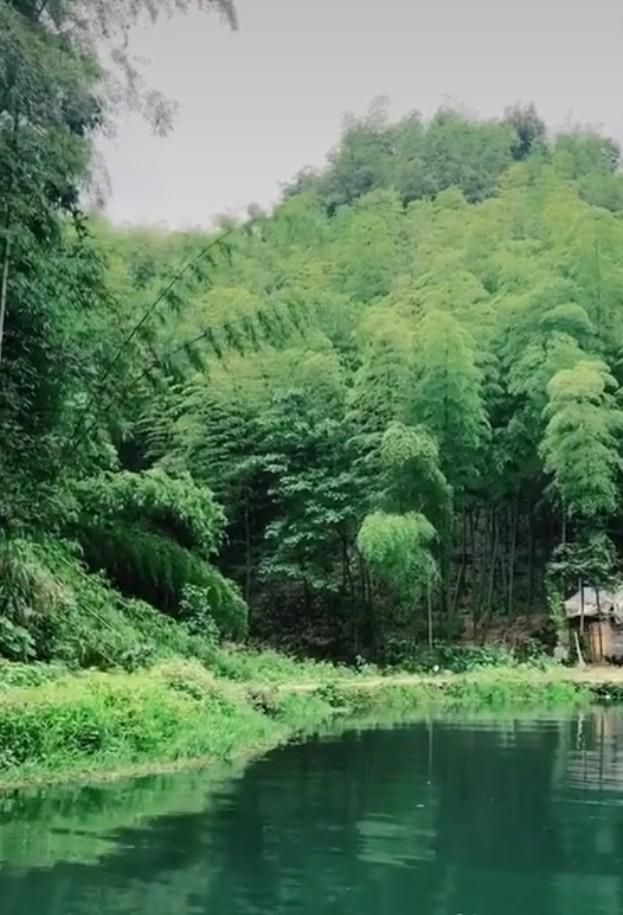 蜀南竹海在哪个县(蜀南竹海在哪里)