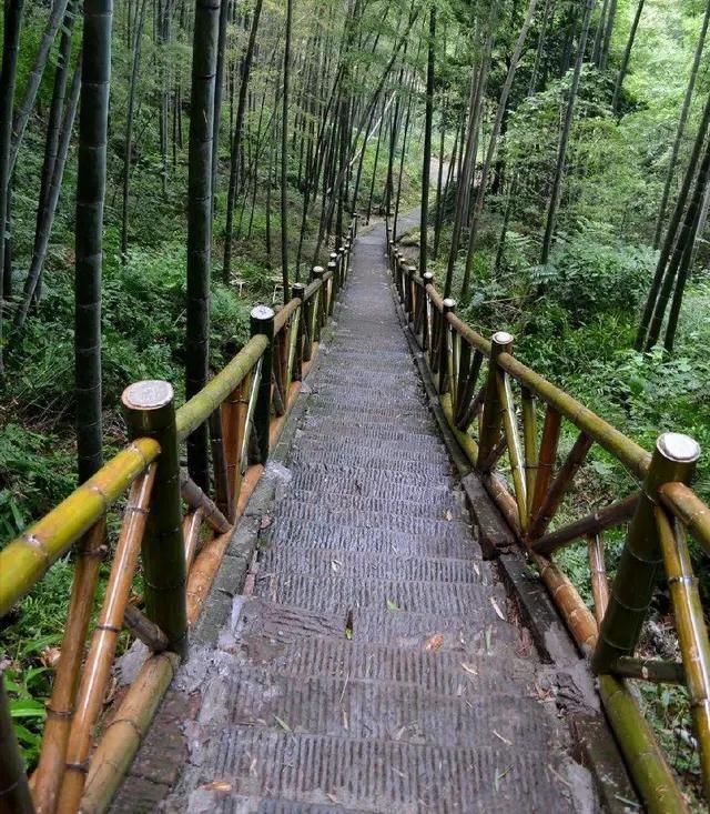 蜀南竹海在哪个县(蜀南竹海在哪里)
