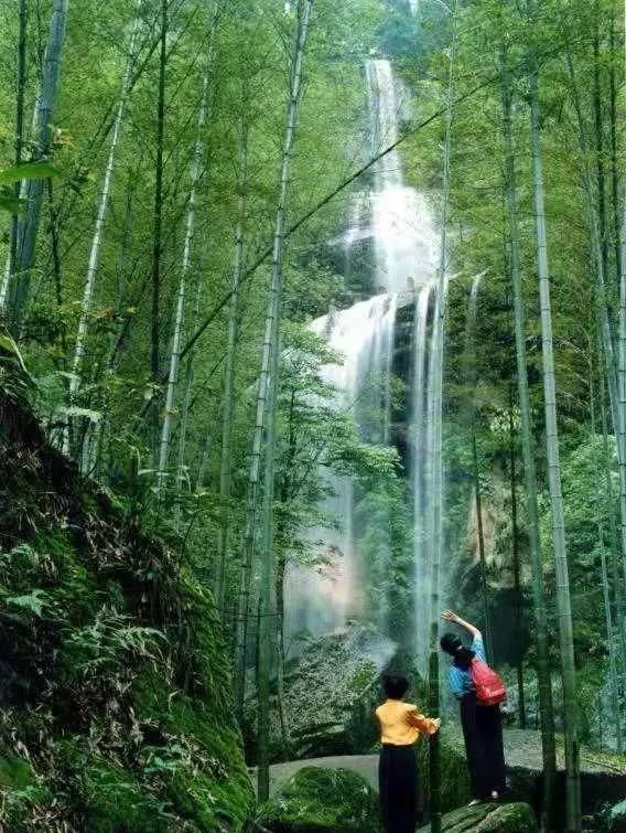 蜀南竹海在哪个县(蜀南竹海在哪里)