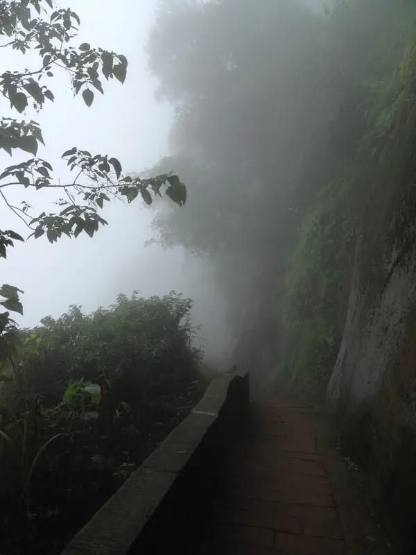 蜀南竹海在哪个县(蜀南竹海在哪里)