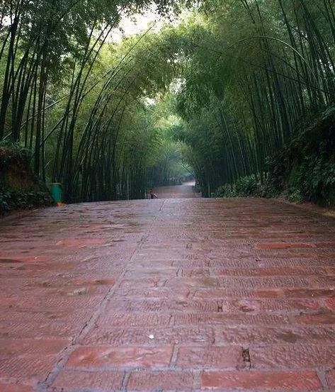 蜀南竹海在哪个县(蜀南竹海在哪里)