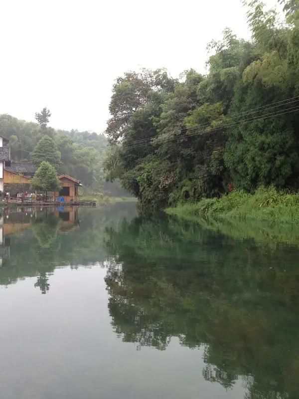 蜀南竹海在哪个县(蜀南竹海在哪里)