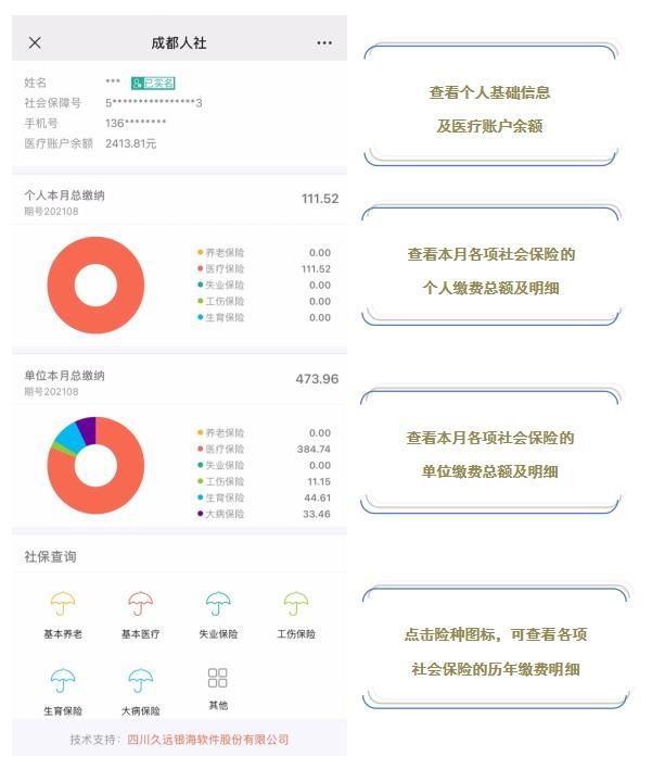 成都税务社保缴费怎么查询(成都税务公众号社保缴费)