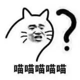 棋牌在哪里找(空间棋牌官网在哪里)