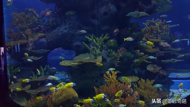 贵阳的海洋馆在哪里(贵阳极地海洋馆在哪里)