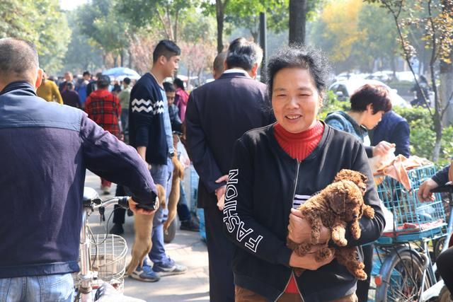 北京的狗市在哪里2017(北京最大的狗市在哪里)